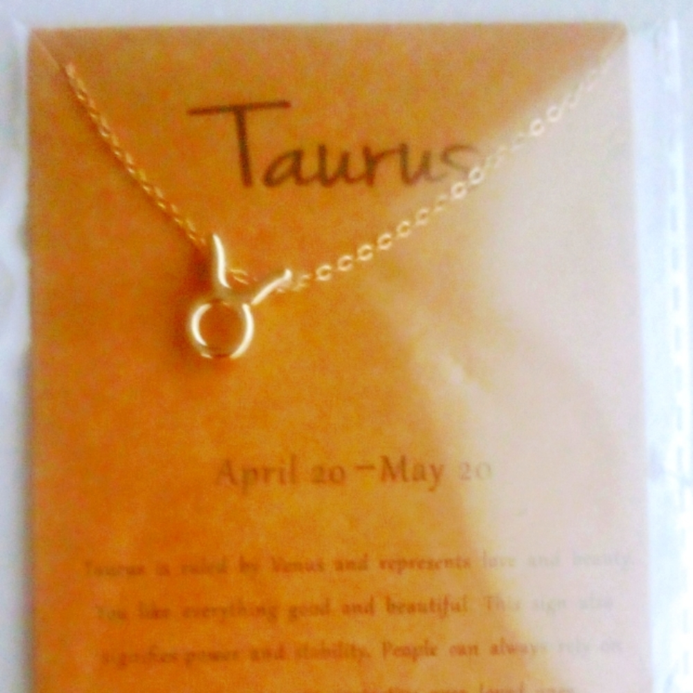 Zodiac Charm And Chain Taurus
